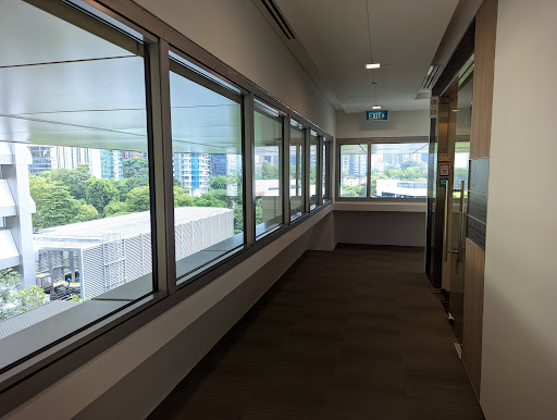 Chiropractic care session